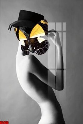 File tranh File tranh decor tranh bộ treo tường tổng hợp H2440 (gốc) in backlit film