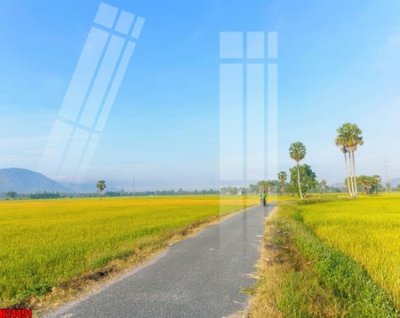 Chi tiết file tranh tráng gương File tranh gốc in tranh tường nền tổng hợp H24491 (ảnh gốc)