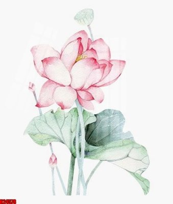 Tải file gốc File tranh gốc in tranh tường nền tổng hợp H24578 dùng cho in ấn