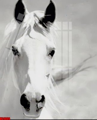 Tệp tin gốc File tranh gốc in tranh tường nền tổng hợp H24809 (chất lượng) File tranh gốc in tranh tường nền tổng hợp H24809