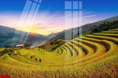 File tranh gốc PSD File tranh gốc in tranh tường nền tổng hợp H24856 còn nguyên layer