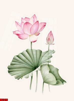 File gốc File tranh gốc in tranh tường nền tổng hợp H25162 (trang trí) phòng làm việc