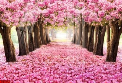 Tải xuống file tranh gốc File tranh gốc in tranh tường nền tổng hợp H25223 (PSD/TIFF)