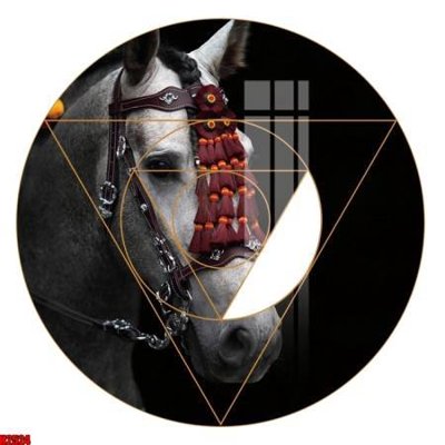 File gốc File tranh decor tranh bộ treo tường tổng hợp H2524 (in lụa) tranh mã đáo