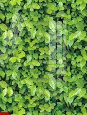 File gốc File tranh gốc in tranh tường nền tổng hợp H25403 (phong cách) tối giản