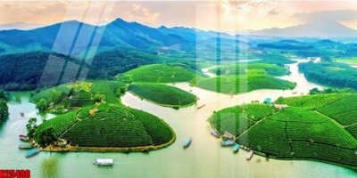 File gốc File tranh gốc in tranh tường nền tổng hợp H25498 cho in ấn và thiết kế