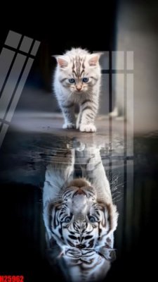 Download file File tranh gốc in tranh tường nền tổng hợp H25962 (gốc) in mica ốp bếp