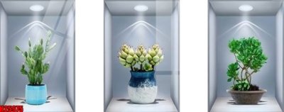 Tải file gốc File tranh gốc in tranh tường nền tổng hợp H25975 (in tráng gương) 5DFile gốc File tranh gốc in tranh tường nền tổng hợp H25975 (in ấn) phiên bản premium