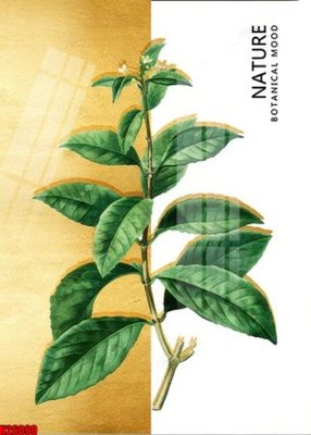 Tải file File tranh gốc in tranh tường nền tổng hợp H26090 (gốc) in tranh tráng gương