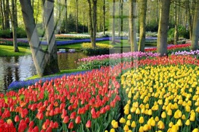 Tải file File tranh gốc in tranh tường nền tổng hợp H26136 (gốc) làm file quảng cáo