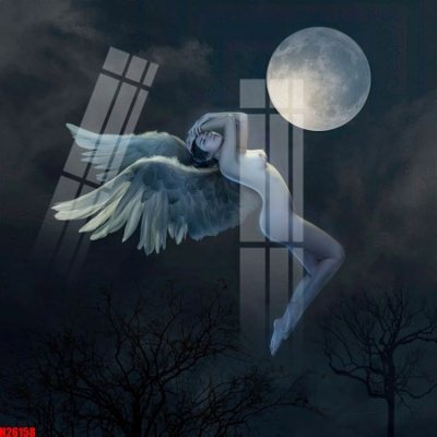 File in mica File tranh gốc in tranh tường nền tổng hợp H26158 (bản gốc) siêu trong