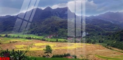 File tranh File tranh gốc in tranh tường nền tổng hợp H26179 (ảnh gốc) sắc nét hoàn hảo