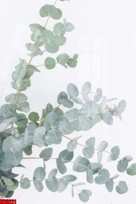 File gốc File tranh gốc in tranh tường nền tổng hợp H26221 (in lụa) tranh mã đáo