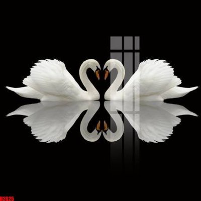 Mua file tranh gốc File tranh decor tranh bộ treo tường tổng hợp H2625 tại Filetranh.com