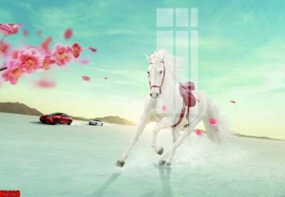 File in mica File tranh decor tranh bộ treo tường tổng hợp H2628 (bản gốc) làm vách ngăn