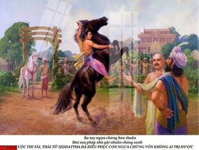 Mua file tranh gốc File tranh gốc in tranh tường nền tổng hợp H26395 tại Filetranh.com