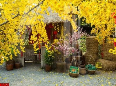 File gốc File tranh gốc in tranh tường nền tổng hợp H26472 (Filetranh.com) File tranh gốc in tranh tường nền tổng hợp H26472