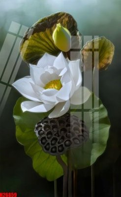 File tranh File tranh gốc in tranh tường nền tổng hợp H26859 (file gốc) chủ đề phong thủy