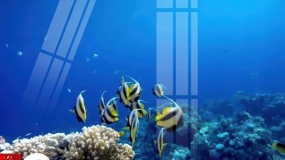 Tải file gốc File tranh gốc in tranh tường nền tổng hợp H27274 (in khổ lớn) quảng cáo