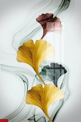 Tải về file gốc File tranh decor tranh bộ treo tường tổng hợp H2732 (chuẩn in ấn)