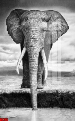 Tệp tin gốc File tranh decor tranh bộ treo tường tổng hợp H2745 (chất lượng) File tranh decor tranh bộ treo tường tổng hợp H2745