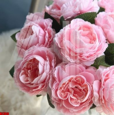 Hình ảnh gốc File tranh gốc in tranh tường nền tổng hợp H27810 (để in khổ lớn)