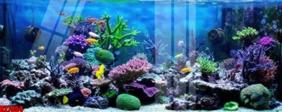 Chi tiết file gốc File tranh gốc in tranh tường nền tổng hợp H27954 (cho in tráng gương)