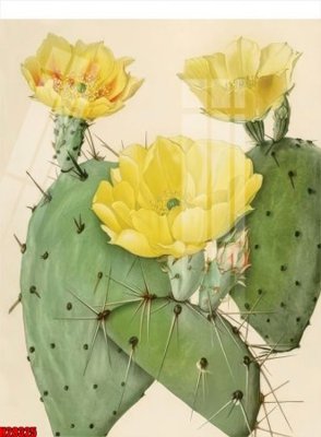 Tải file File tranh gốc in tranh tường nền tổng hợp H28325 (gốc) in nhanh