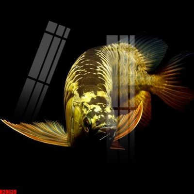 File ảnh gốc File tranh gốc in tranh tường nền tổng hợp H28639 (chuyên in mica)