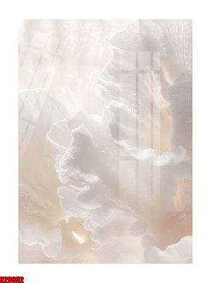 Download file gốc File tranh gốc in tranh tường nền tổng hợp H28662 (in lụa) hoa lá