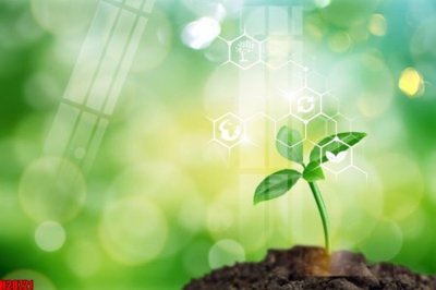 File ảnh File tranh gốc in tranh tường nền tổng hợp H28721 (gốc) cho trang trí nhà hàng