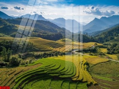 Hình ảnh file gốc File tranh gốc in tranh tường nền tổng hợp H28739 (chất lượng cao)