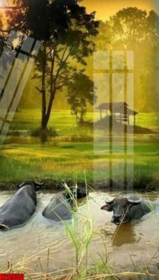 Ảnh gốc File tranh gốc in tranh tường nền tổng hợp H28956 (độ nét cao) in mica