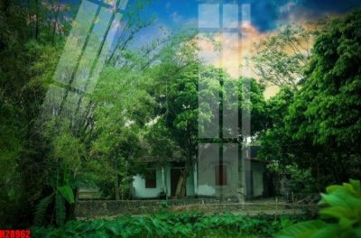 File gốc File tranh gốc in tranh tường nền tổng hợp H28962 (bản quyền) cho in ấn