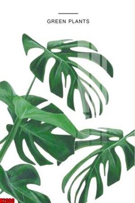 File ảnh gốc File tranh decor tranh bộ treo tường tổng hợp H2909 không vỡ nét