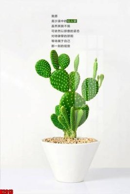 File gốc File tranh decor tranh bộ treo tường tổng hợp H2913 (dành cho quảng cáo)