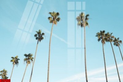 File gốc File tranh gốc in tranh tường nền tổng hợp H29466 (in lụa) hoa văn cổ điển