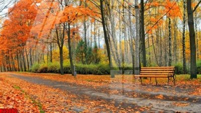 File tranh File tranh gốc in tranh tường nền tổng hợp H29483 (bản gốc) treo quán cafe