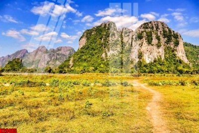 File in trần File tranh gốc in tranh tường nền tổng hợp H29485 (bản gốc) mây trời