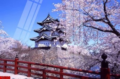 Tải về file tranh gốc File tranh gốc in tranh tường nền tổng hợp H29509 (để in quảng cáo)