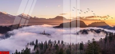 File in trần File tranh gốc in tranh tường nền tổng hợp H29518 (bản gốc 3D) sống động