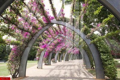 Tải file File tranh gốc in tranh tường nền tổng hợp H29535 (gốc) làm file in ấn