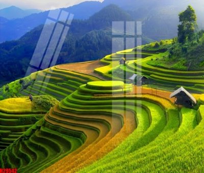 File gốc File tranh gốc in tranh tường nền tổng hợp H29542 (in lụa) tranh mã đáo