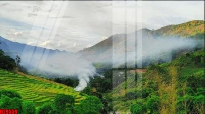 File PSD File tranh gốc in tranh tường nền tổng hợp H29559 (bản gốc) độ phân giải cao