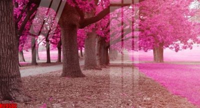 Tải file File tranh gốc in tranh tường nền tổng hợp H29582 (gốc) chủ đề tâm linh