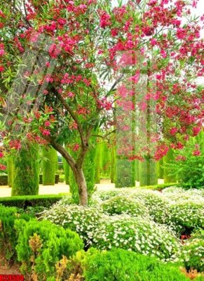 File in ấn File tranh gốc in tranh tường nền tổng hợp H29584 (bản gốc) chất lượng cao