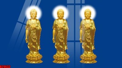 File in trần File tranh gốc in tranh tường nền tổng hợp H29633 (bản gốc) đại dương