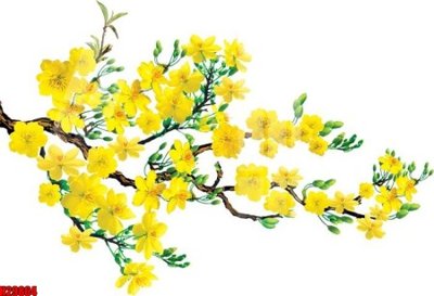 File tranh in tráng gương File tranh gốc in tranh tường nền tổng hợp H29864 (siêu nét)