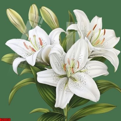 Mua file gốc File tranh gốc in tranh tường nền tổng hợp H30056 (in ấn) tại Filetranh.com