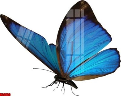 File tranh gốc File tranh gốc in tranh tường nền tổng hợp H30089 chủ đề hiện đại